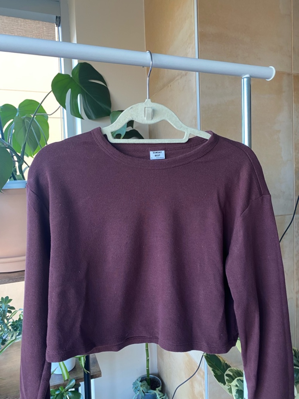 Sunday Best Cropped Crewneck